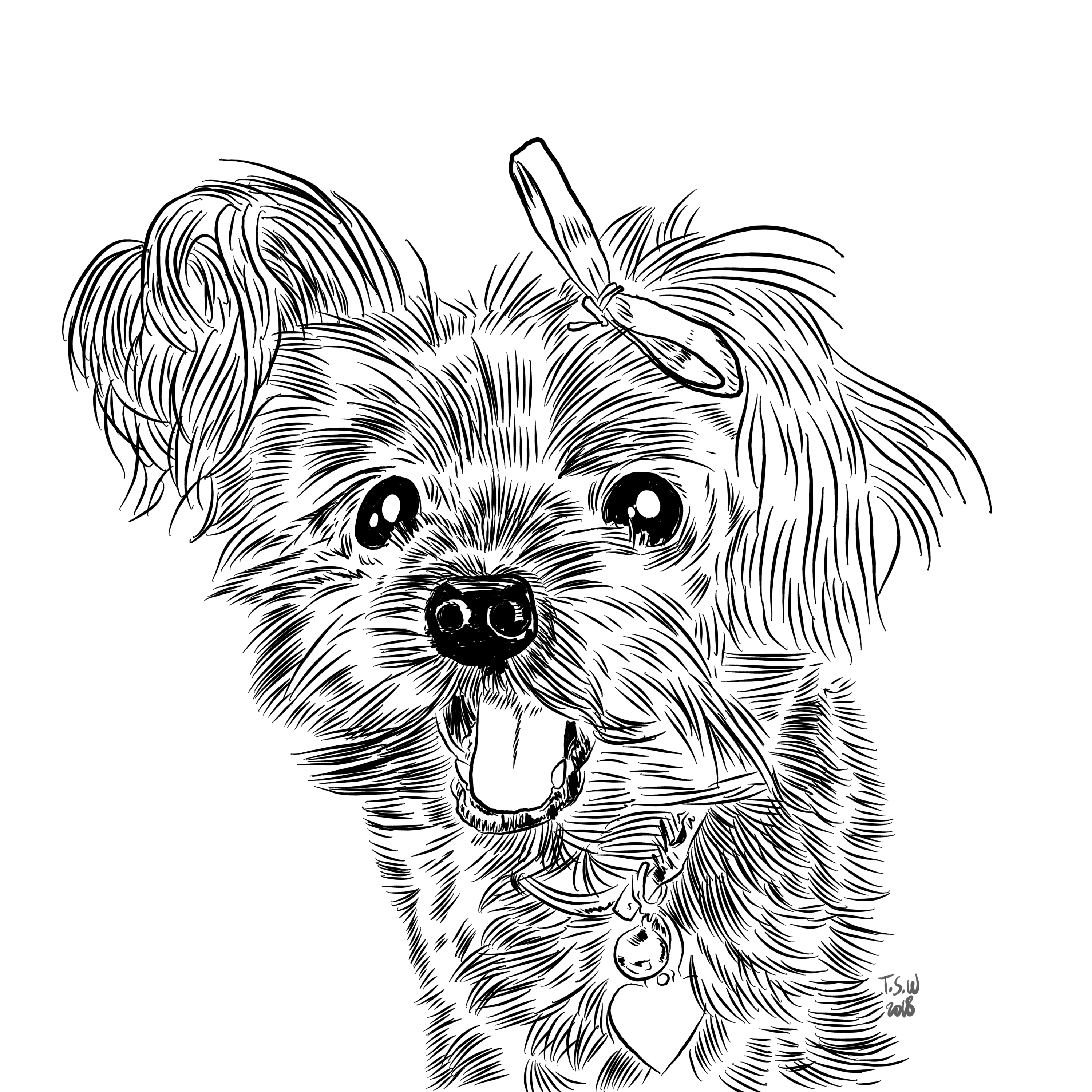 Custom dog illustration