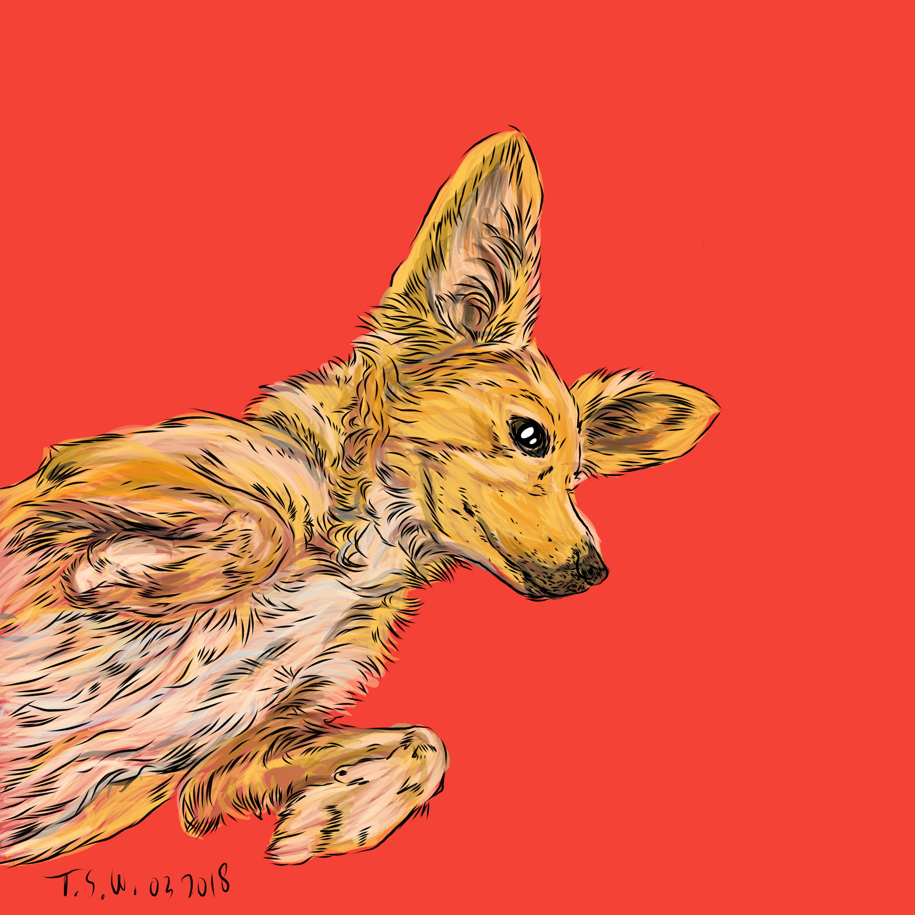 Drawing a dog